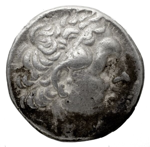 аверс Coins of the Ptolemaic Empire Vol. I, Part 1, no. 876