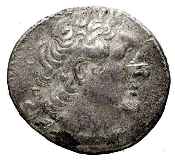 Coins of the Ptolemaic Empire Vol. I, Part 1, no. 516, аверс, bnf-hrc