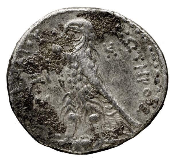 Coins of the Ptolemaic Empire Vol. I, Part 1, no. 516, реверс, bnf-hrc