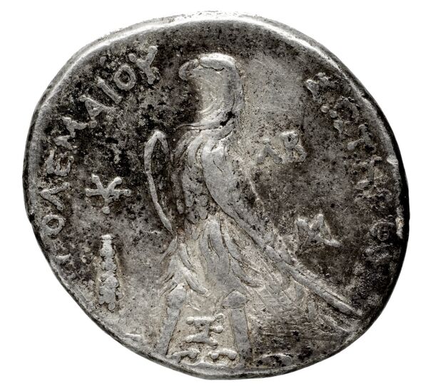 Coins of the Ptolemaic Empire Vol. I, Part 1, no. 593, реверс, bnf-hrc