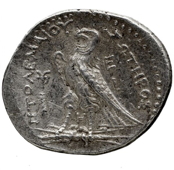 Птолемей III Эвергет rev