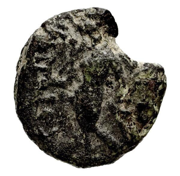 реверс Seleucid Coins (part 1) 816