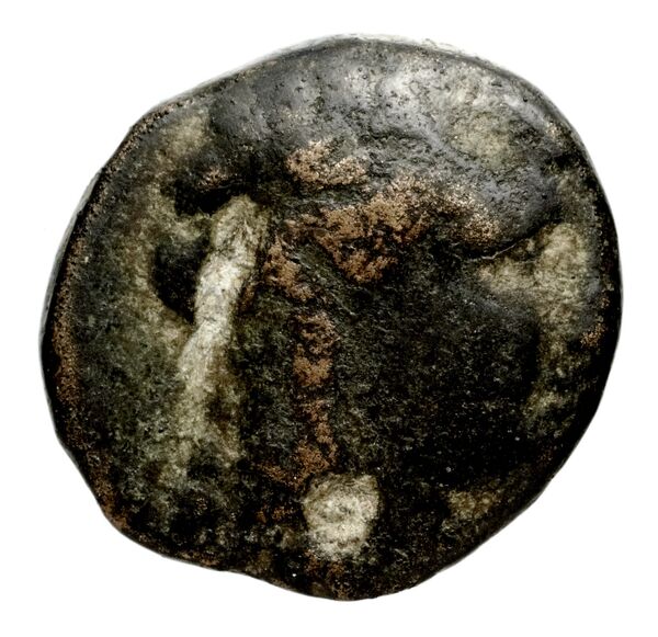 аверс Seleucid Coins (part 1) 983.2