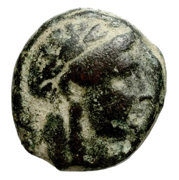 аверс Seleucid Coins (part 1) 983