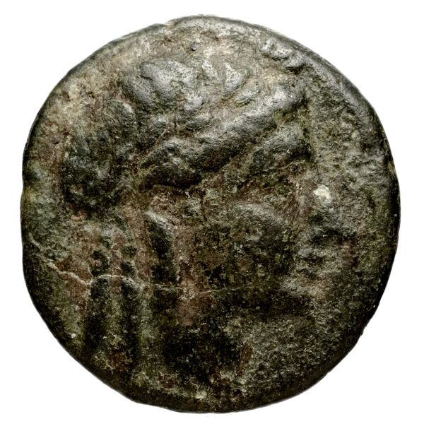 Seleucid Coins (part 1) 983, аверс, bnf-hrc