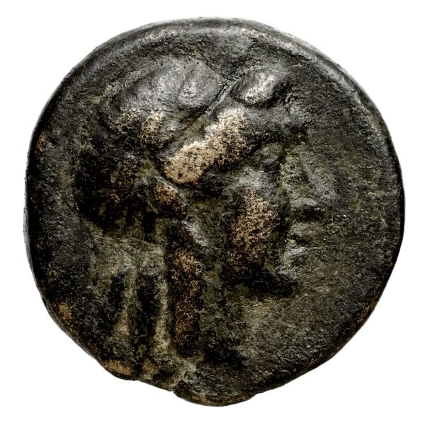 Seleucid Coins (part 1) 983, аверс, bnf-hrc