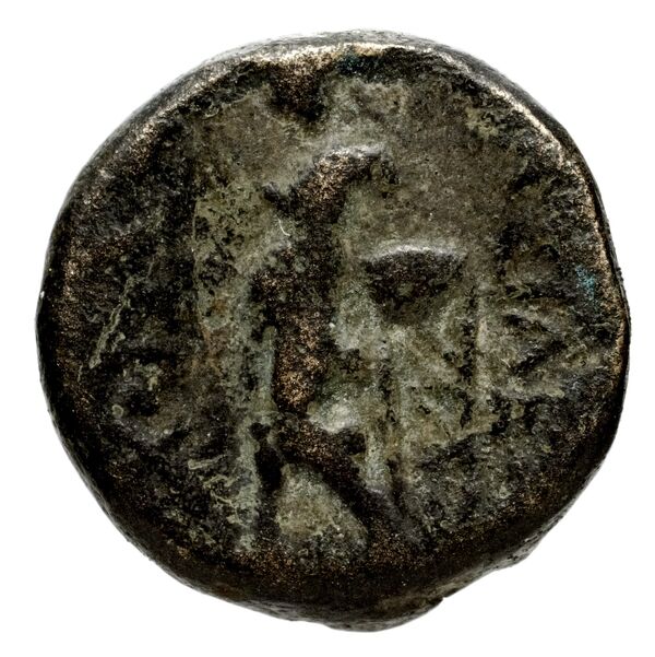 Seleucid Coins (part 1) 983, реверс, bnf-hrc