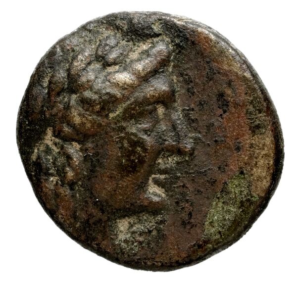 Seleucid Coins (part 1) 983.6, аверс, bnf-hrc
