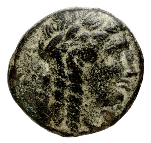 Seleucid Coins (part 1) 983.6, аверс, bnf-hrc
