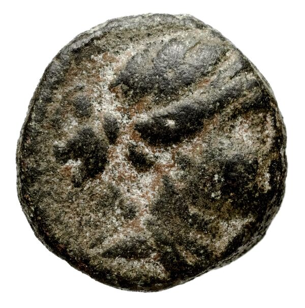 Seleucid Coins (part 1) 922, аверс, bnf-hrc