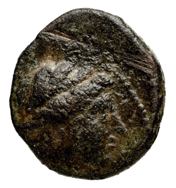 Seleucid Coins (part 1) 922, аверс, bnf-hrc