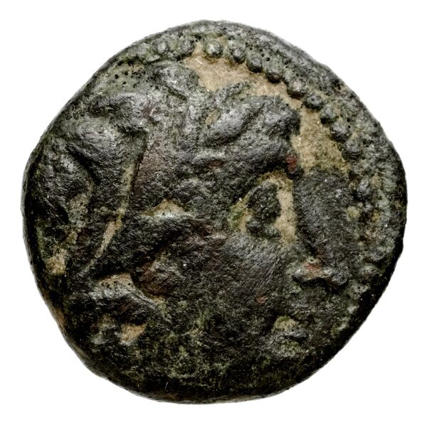 Seleucid Coins (part 1) 924, аверс, bnf-hrc