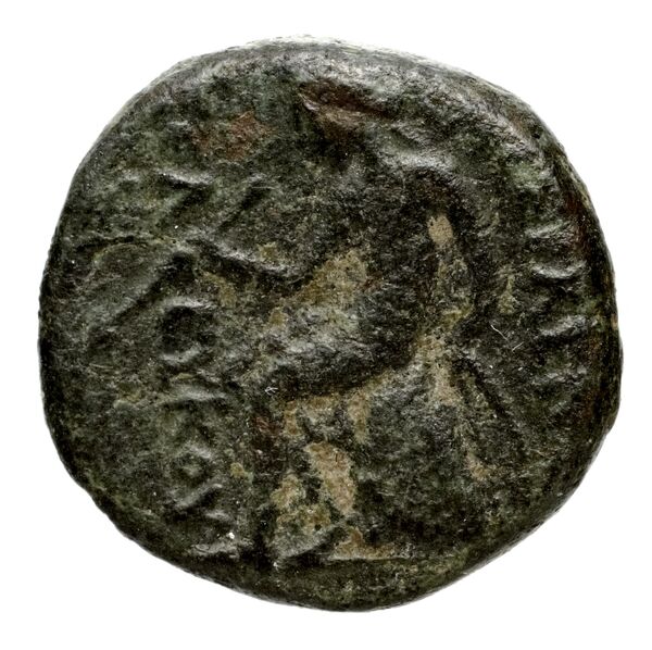 Seleucid Coins (part 1) 924, реверс, bnf-hrc