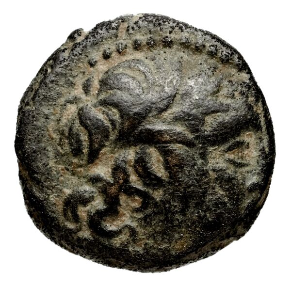 Seleucid Coins (part 1) 924, аверс, bnf-hrc