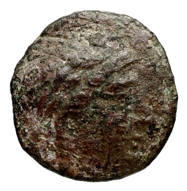 Seleucid Coins (part 1) 955.1, аверс, bnf-hrc