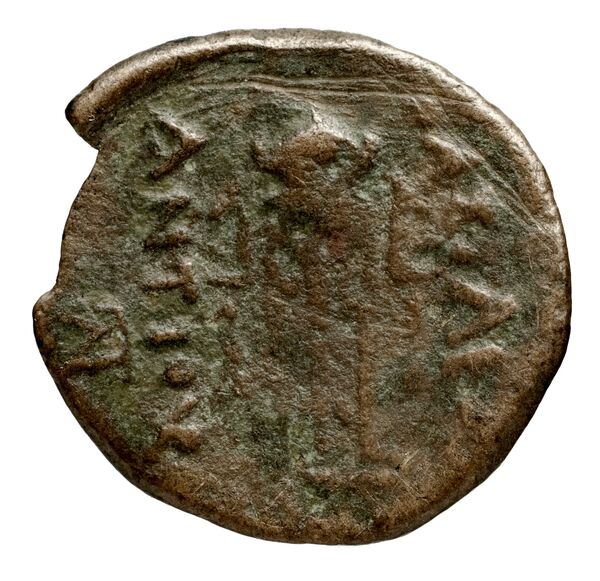 Seleucid Coins (part 1) 1253, реверс, bnf-hrc