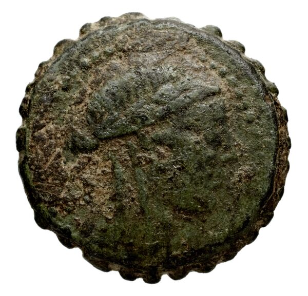 Seleucid Coins (part 2) 1315.6p, аверс, bnf-hrc