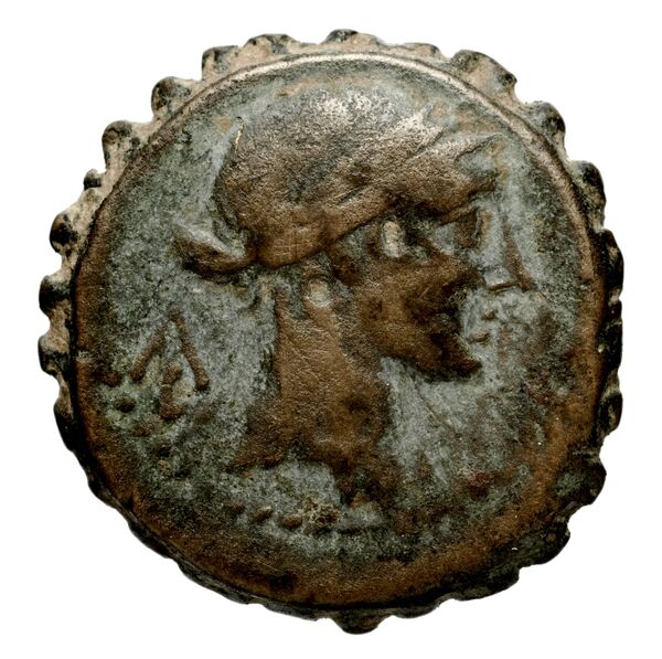 Seleucid Coins (part 2) 1315.6p, аверс, bnf-hrc