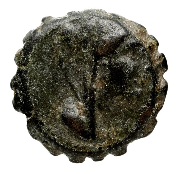 аверс Seleucid Coins (part 2) 1371c