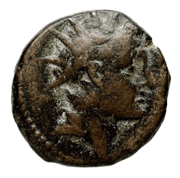 Seleucid Coins (part 2) 2017, аверс, bnf-hrc