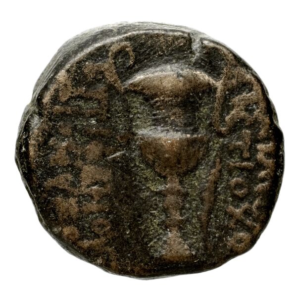 Seleucid Coins (part 2) 2017, реверс, bnf-hrc