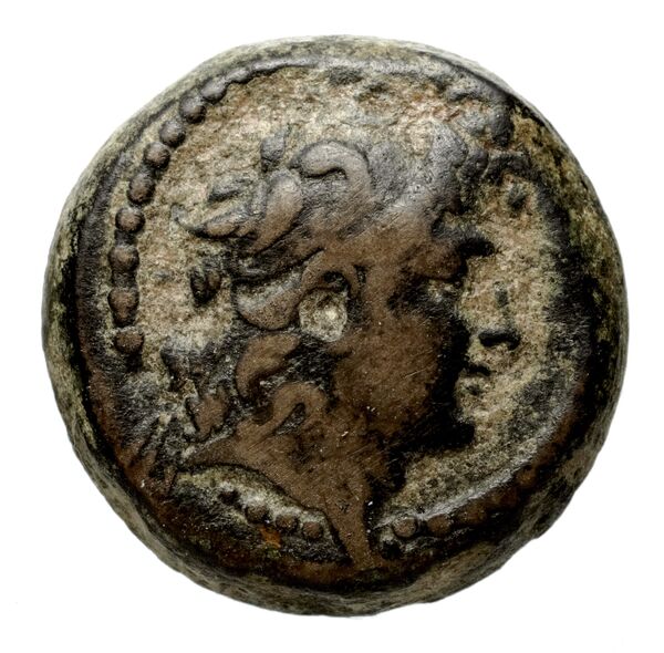 Seleucid Coins (part 2) 2034.2e, аверс, bnf-hrc