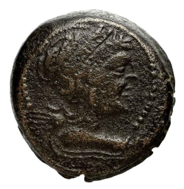 аверс Seleucid Coins (part 2) 2067.16b