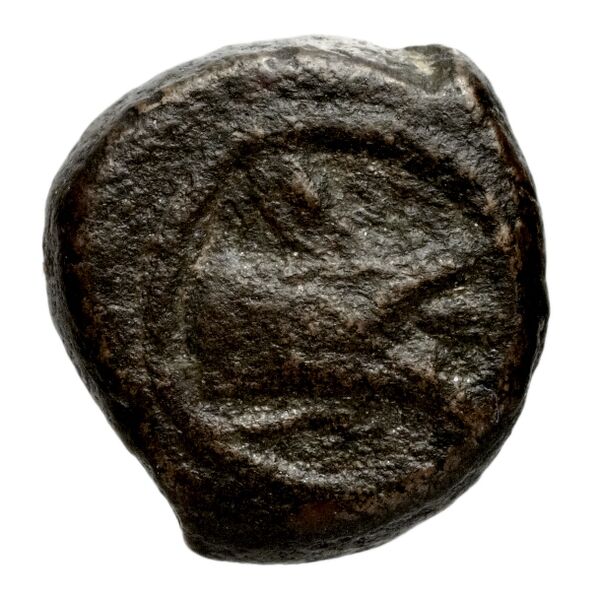 Seleucid Coins (part 2) 2069a, аверс, bnf-hrc
