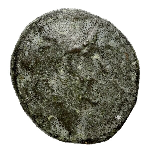 Seleucid Coins (part 2) 2104, аверс, bnf-hrc