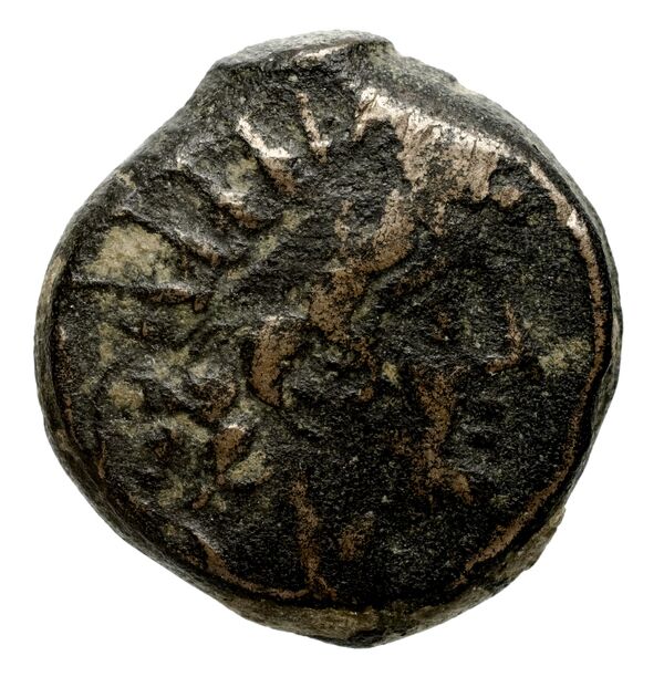 аверс Seleucid Coins (part 2) 2300.7b