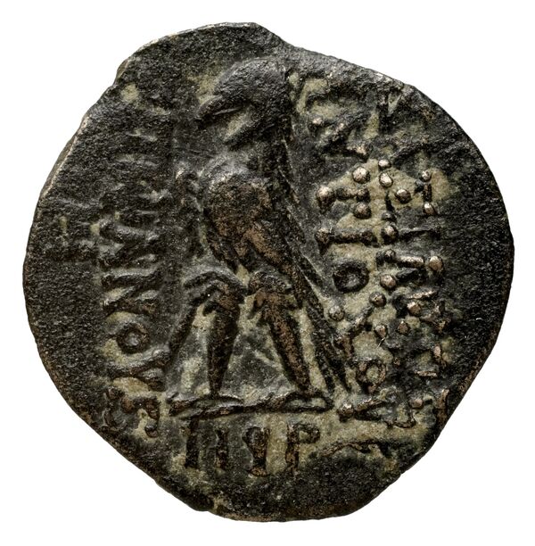 реверс Seleucid Coins (part 2) 2300.7b
