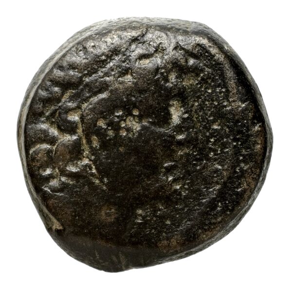 аверс Seleucid Coins (part 2) 2300.1i