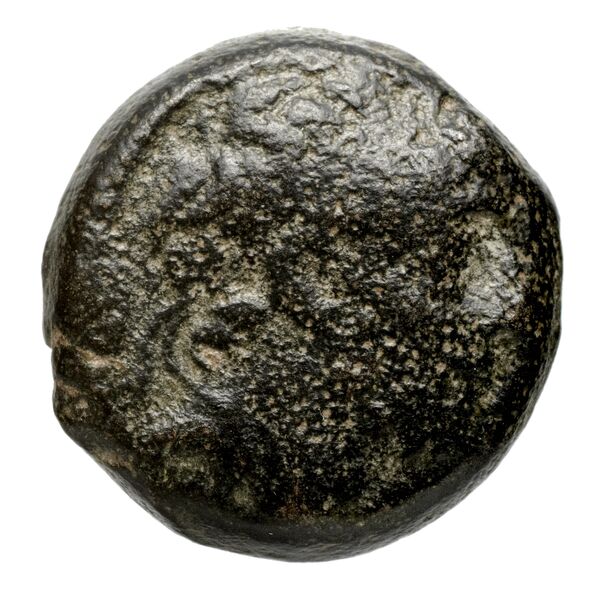 аверс Seleucid Coins (part 2) 2364.1h