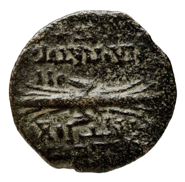 реверс Seleucid Coins (part 2) 2364.1h