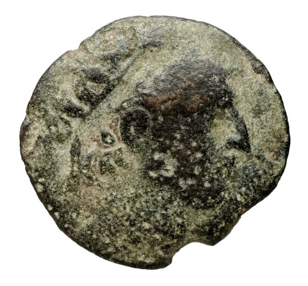 Seleucid Coins (part 2) 2433, аверс, bnf-hrc