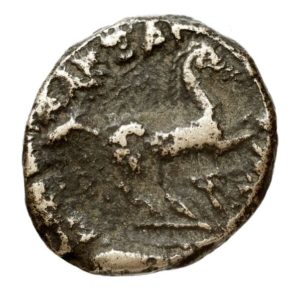Price 341, реверс, bnf-hrc