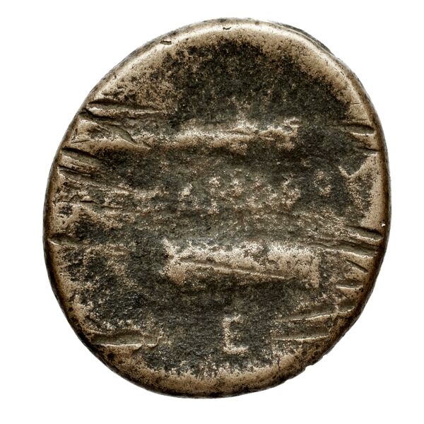 Price 304, реверс, bnf-hrc