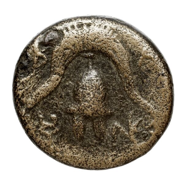 Price 3162, реверс, bnf-hrc