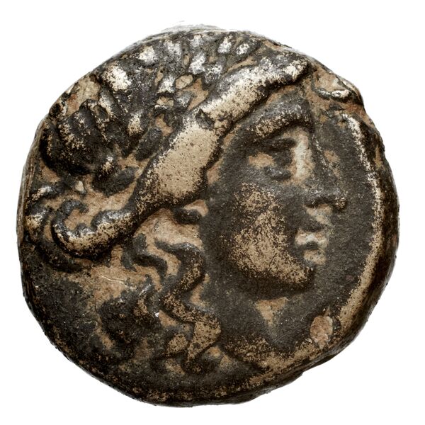 аверс Seleucid Coins (part 1) 696