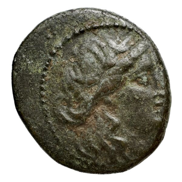 аверс Seleucid Coins (part 1) 693
