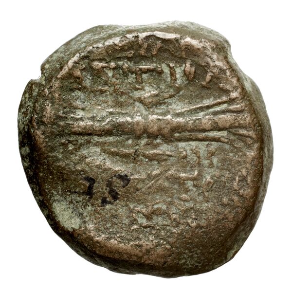 реверс Seleucid Coins (part 2) 2364.1