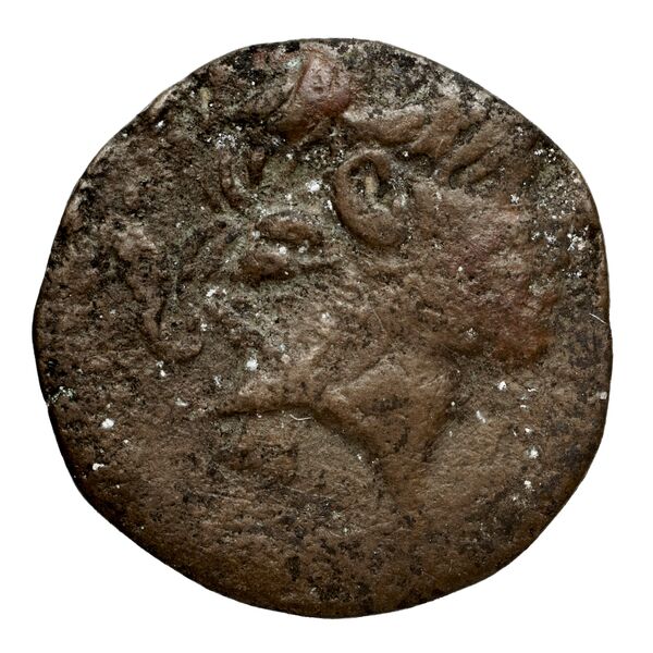аверс Seleucid Coins (part 2) 2364.2