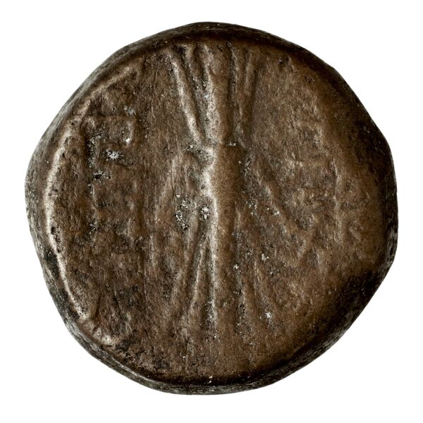 реверс Seleucid Coins (part 2) 2364.2