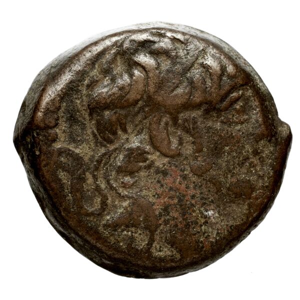 Seleucid Coins (part 2) 2364.1, аверс, bnf-hrc