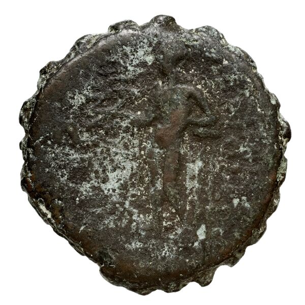 реверс Seleucid Coins (part 2) 2023