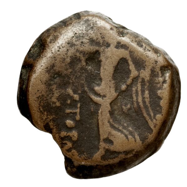 реверс Seleucid Coins (part 2) 2388