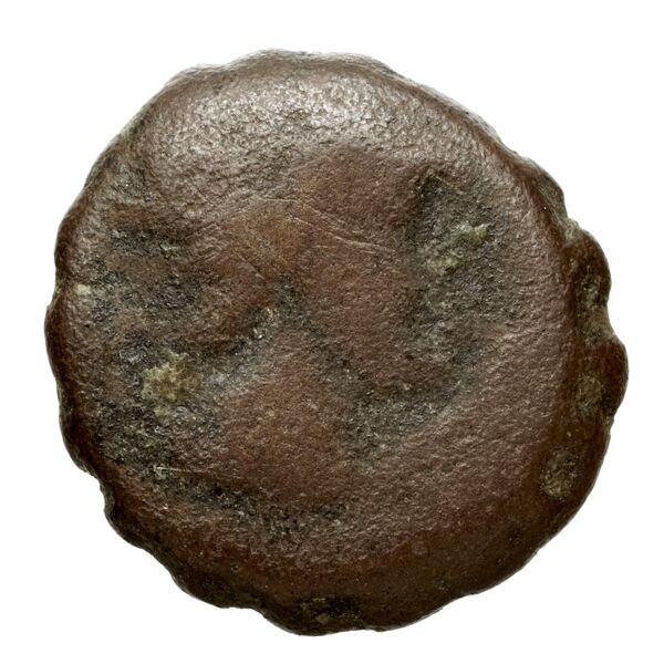 аверс Seleucid Coins (part 2) 1479
