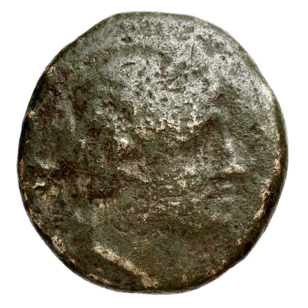 obverse Seleucid Coins (part 1) 575.1b