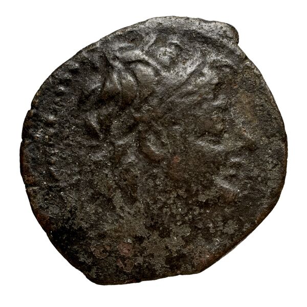 аверс Seleucid Coins (part 2) 2229