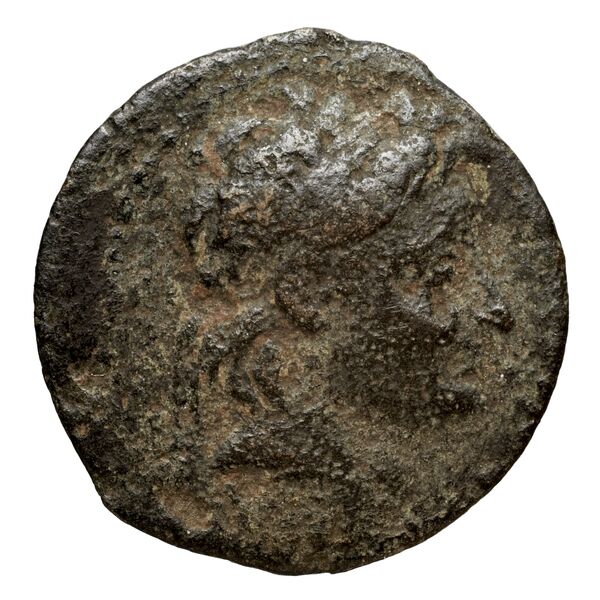 Seleucid Coins (part 2) 2229, аверс, bnf-hrc
